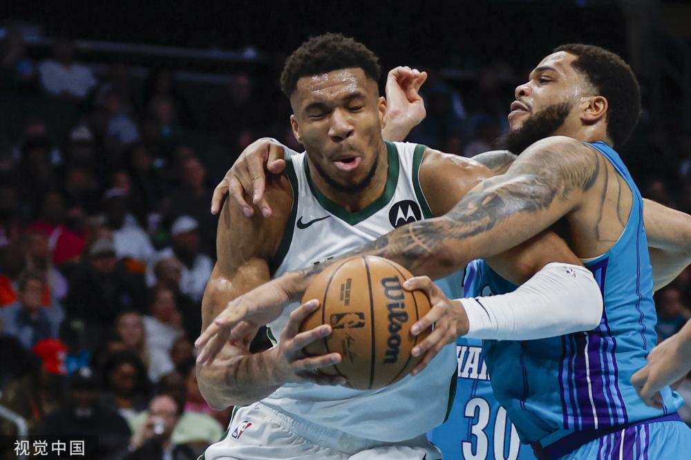 篮球爱好者 篮球爱好者