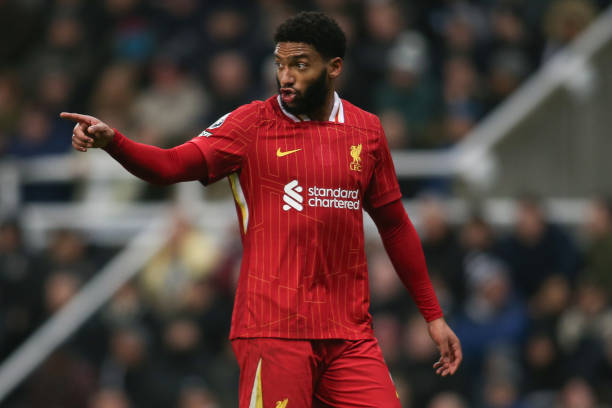 一名热刺球 一名热刺球